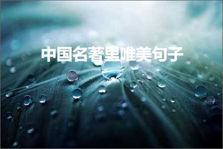 涓浗鍚嶈憲閲屽敮缇庡彞瀛愶紙鏂囨86鏉★級